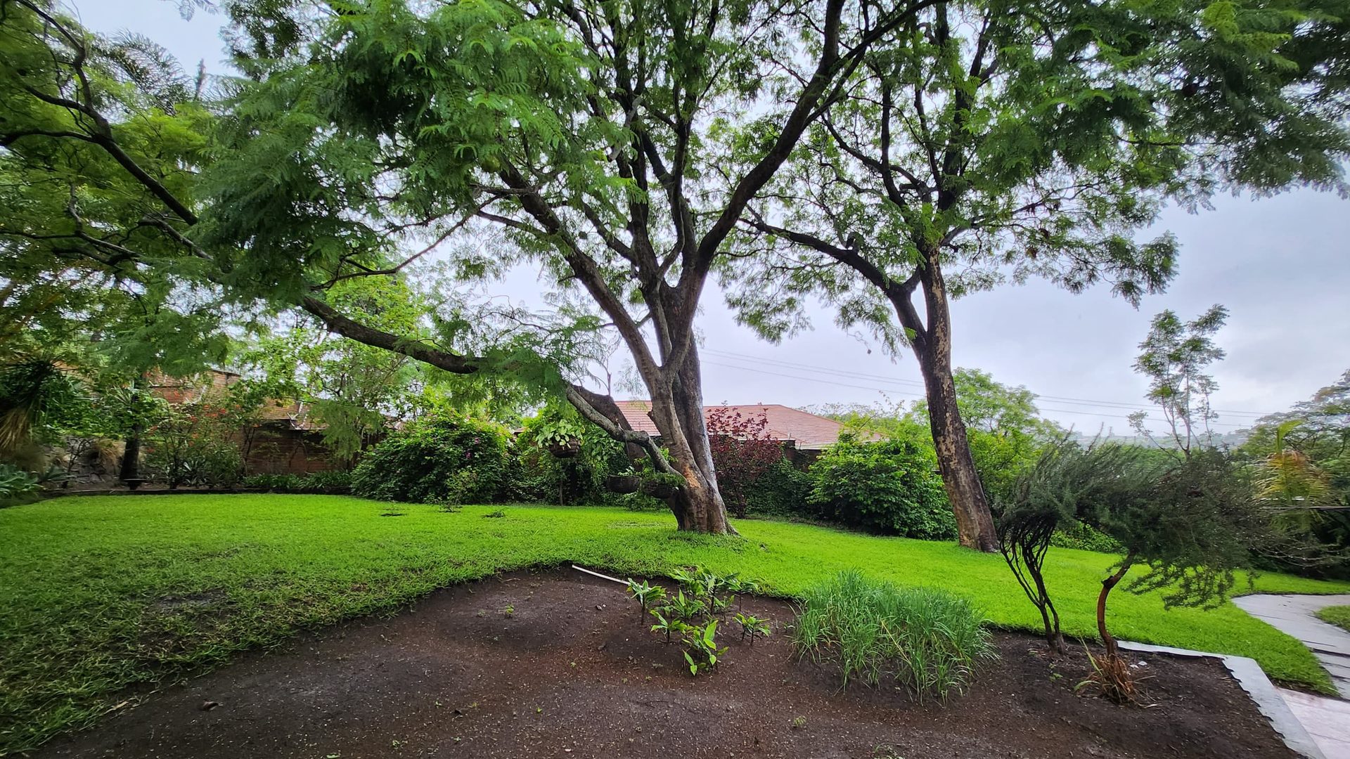 Landscaped garden and lawn